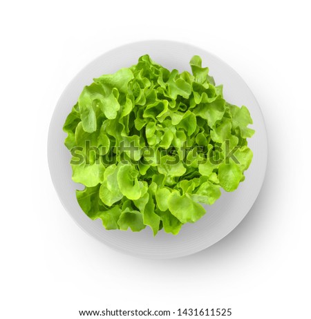 top view fresh green lettuce leaves on white plate