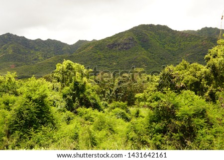 Beautiful green world in Kauai garden island