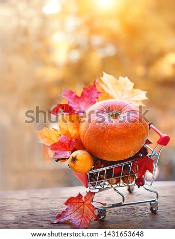 autumn harvest in Basket. maple leaves, acorns, berries and pumpkin in supermarket trolley on wooden table. Halloween and Thanksgiving concept, autumn sales. symbol of Fall season. 