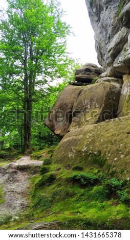 Rocks and forest among the rocks in the Polyanitsky Regional Landscape Park Dovbush cliffs, village Bubnyshche, Ukraine