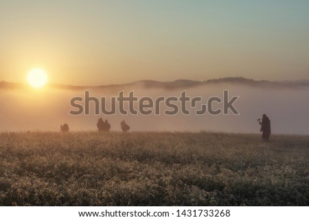 Sunrise in the mountains.  Foggy cool summer morning. A group of photographers.
