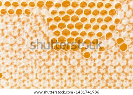 yelllow honeycombs empty and filled with honey
