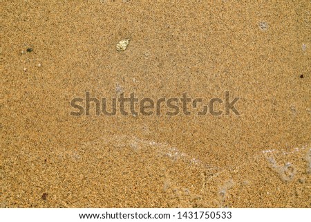 Abstract image of top view of beautiful sand beach with shell and clear sea water, for background.