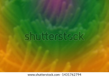 Spruce branches with a blurred color background Royalty-Free Stock Photo #1431762794