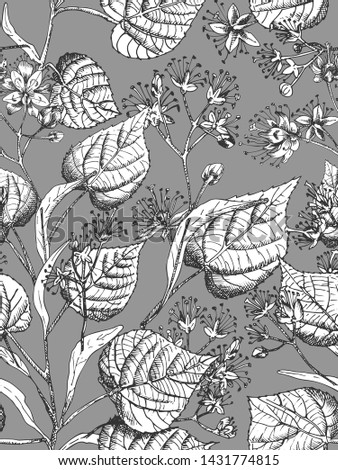 Linden blossom hand drawn seamless pattern with flower, lives and branch in black and white color on gray background. Retro vintage graphic design Botanical sketch drawing, Vector illustration.