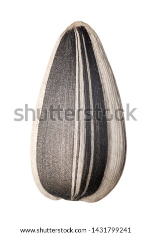 Single sunflower seed isolated on white background Royalty-Free Stock Photo #1431799241