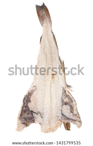Close up view of a portuguese salted codfish isolated on white background.