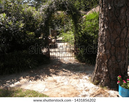 Arched Gated Yard with Tree and Flowers