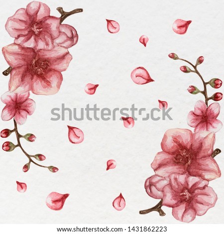 Hand drawn watercolor cherry flower . Digital  wallpaper , clipart