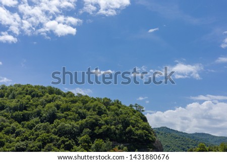 Green trees against the sky. Texture background for design.