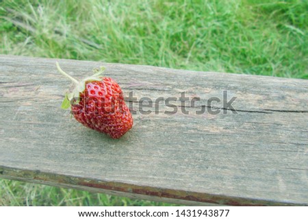 one delicious juicy beautiful red strawberry berry lies on a wooden board