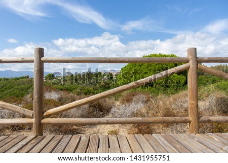 Dunas de Artola - Natural Park in Marbella, Costa del Sol-Spain. Wood path , touristic atraction