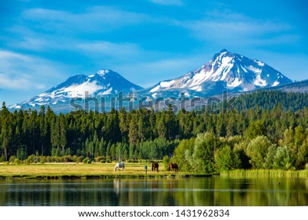 Three horses grazing in a central Oregon meadow near Sisters with the three sisters mountains in the background Royalty-Free Stock Photo #1431962834