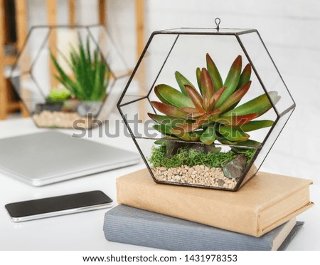 Florarium standing on book's stack, laptop and smartphone on table at white brick wall background