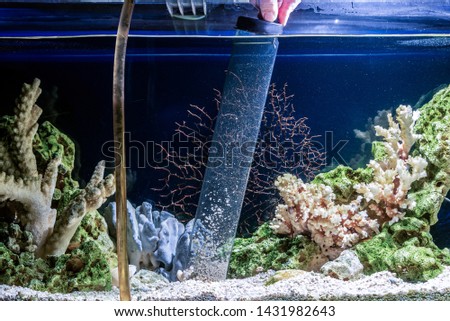Cleaning of gravel in a freshwater aquarium