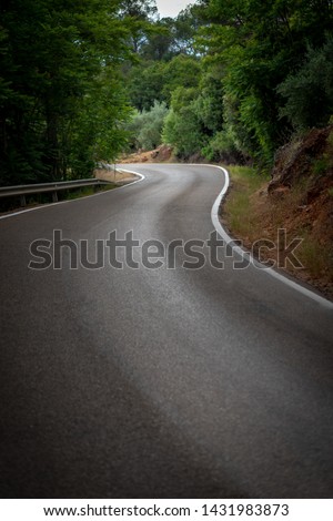 Curved road in the forest