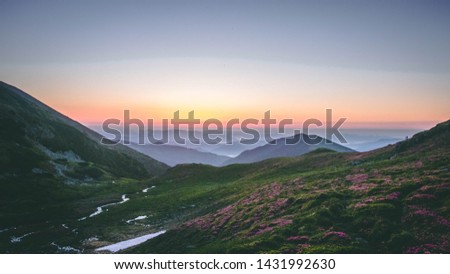Beautiful sunrise at Muntii Rodnei - Varful Ineu - The Carpathian Mountains of Romania Royalty-Free Stock Photo #1431992630