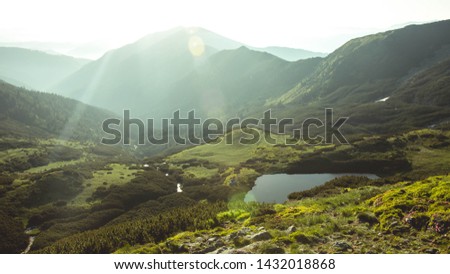 Beautiful glacial lake in the Rodna Mountains - surrounded by amazing red flowers. Royalty-Free Stock Photo #1432018868