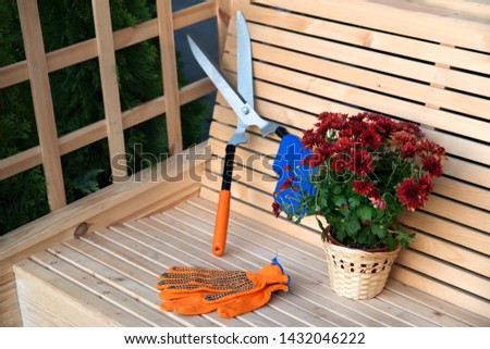 Gardening tools on wooden background. Garden, farm, farming and hobby.