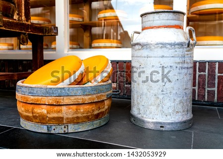 Dutch cheese - cheese wheel