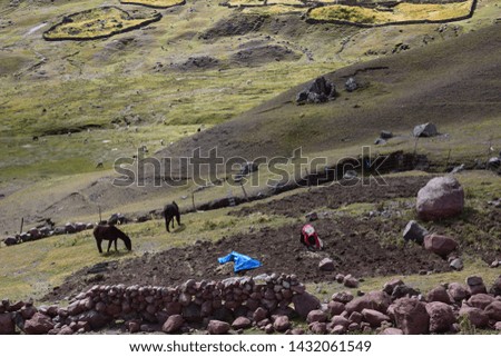 Peasant working in a rural area near Cusco in Peru
