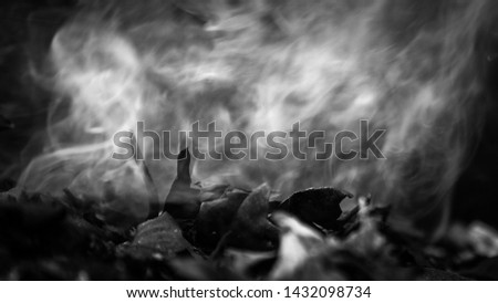 Close up burning leaves and smoke 