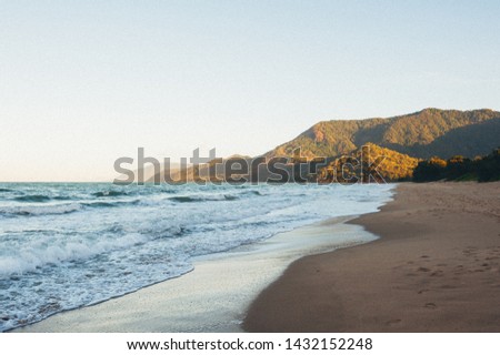 Thala beach nature reserve, Port Douglas, Cairns Queensland Australia