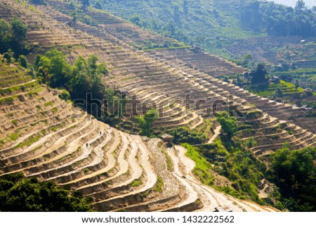 Terraced fields in Ha Giang, Vietnam in the watering season.