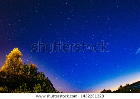 starry sky trees fence the beauty of the night