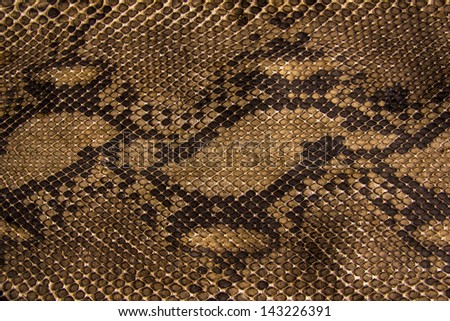 Background snake skin.
