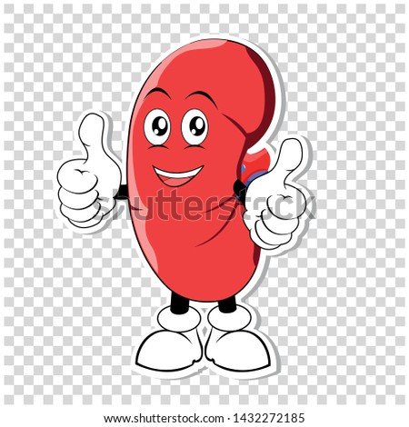 Sticker of a cartoon kidneys. Good health. Vector illustration. 