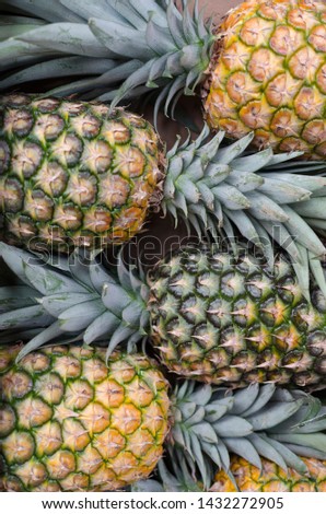pattern background tropical pineapples located on their packaging