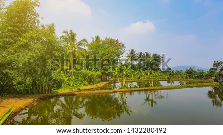 an artificial lake used for rice fields