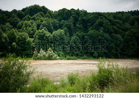 A swift mountain river, shore of pebbles. Flows through the coniferous forest