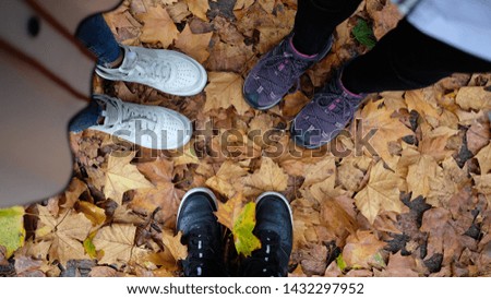 Three pairs of woman’s legs; 
autumn leaves background; top view