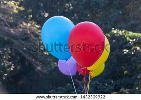 A close up view of a bunch of colourful ballons tired with ridden