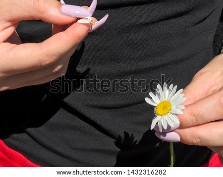 Young and beautiful girl guessing on a daisy.