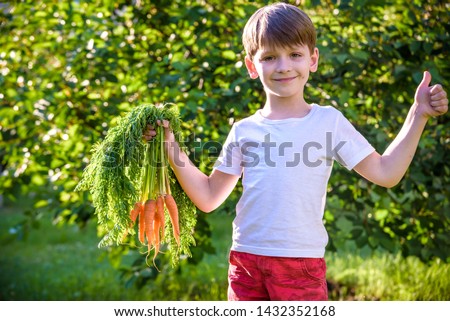 cute preschool blond little kid boy with carrots in domestic garden. Child gardening and eating outdoors. Healthy organic vegetables as snack for kids and kindergarten children.