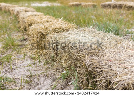 A stack of hay. Dry grass. The texture of the hay. Stocks of feed for livestock. Farm business. Agricultural work. Country life. Mow in the field. Harvesting in the village.