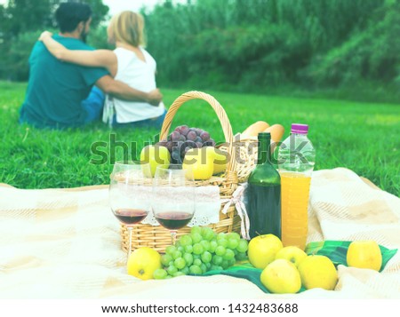Image of basket with eat for picnic on the grass in the park.
