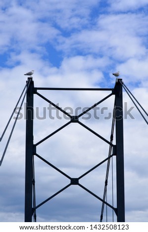 Picture of 2 birds on the bridge head  and blue sky background.