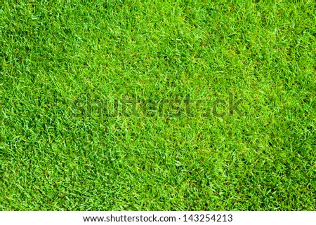Green grass, natural background