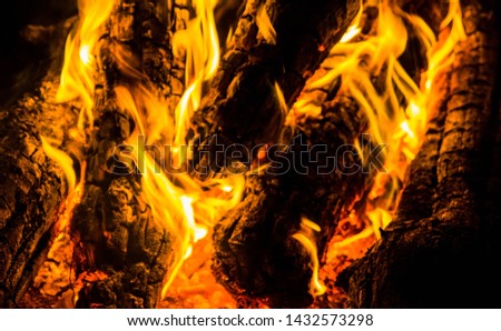 bright orange languages of a fire on wooden logs at night. wood on fire. bonfire at night. campfire. beautiful flame on black background. fire on black background. burning wood . beautiful fire textur
