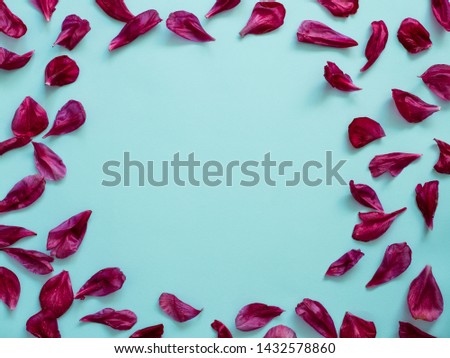 Red burgundy peony petals flat lay on blue background. Flower petals with copy space for text or design in center. Creative layout made of flowers leaves. Flat lay pattern.