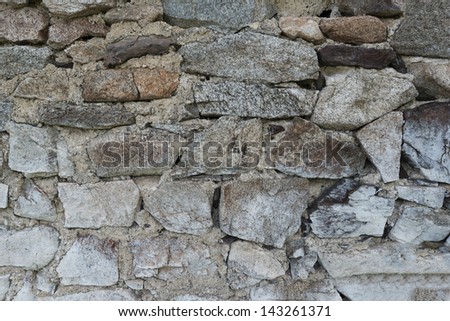 An ancient forest stone wall