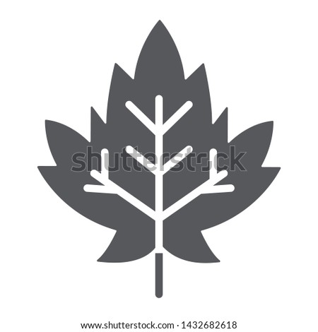 Maple leaf glyph icon, foliage and nature, autumn leaf sign, vector graphics, a solid pattern on a white background, eps 10.