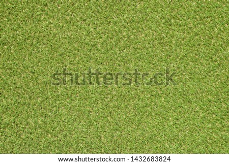 green grass and graphic background
