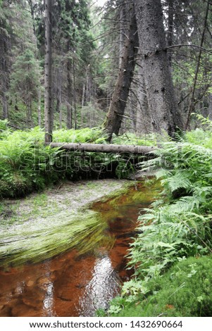 Small Varesjoki stream in the forest at Salo, Finland.