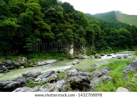 River in a beautiful forest