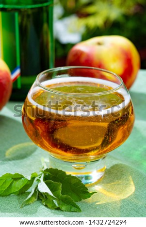 Glass with fresh cold French apple cider drink from Normandy region served with apples in green garden